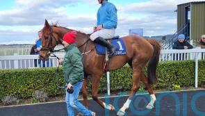 Corbetts Cross claims Grade Two novice  honours in Naas thriller