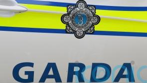 Pensioner assaulted and four held against their will in Dublin burglary