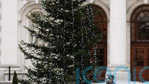 Government formation talks paused for Christmas break after &lsquo;progress&rsquo;