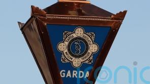 Man in his 40s arrested over fatal hit-and-run in Rathkeale
