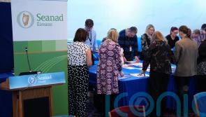 Counting continues in Seanad elections