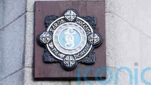 Garda injured by man with knife while responding to burglary