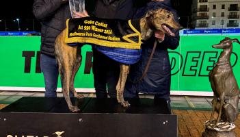 Top display as Razldazl Edward is crowned as the Gold Collar Champion