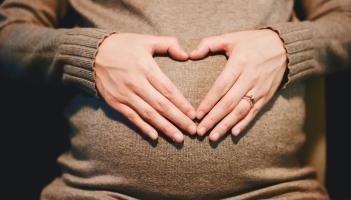 Authority to protect the rights of those involved in surrogacy established today