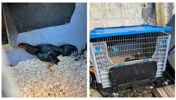 Images courtesy of An Garda S&iacute;och&aacute;na Tipperary