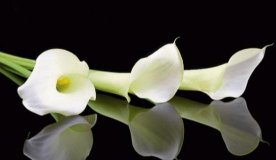 &lsquo;It&rsquo;s devastating&rsquo;: Limerick woman who died in house fire named locally