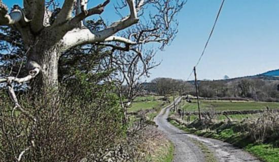 NEWS: Local Improvement Scheme opens for applications for Tipperary residents