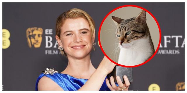 Hollywood star and Thurles Ursuline alumni Jessie Buckley caught in a 'purr-fect' storm