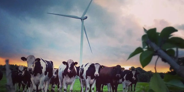 People asked to attend public consultation and share their ideas for Tipperary's future