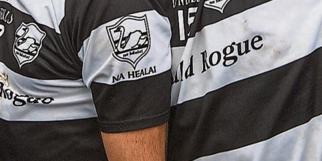 Carrick GAA club teams limber up for two County League matches next weekend