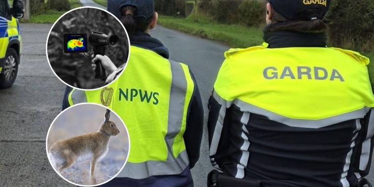 LONG READ: Inside the 'seasonal scourge' terrorising rural landowners across Tipperary