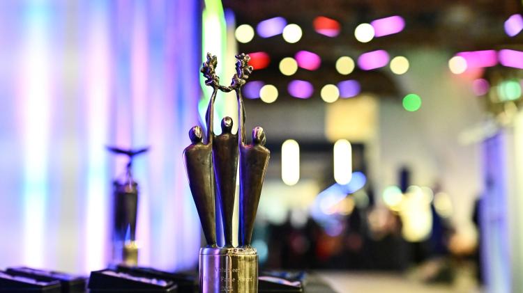 Tipperary man wins national Young Volunteer of the Year award