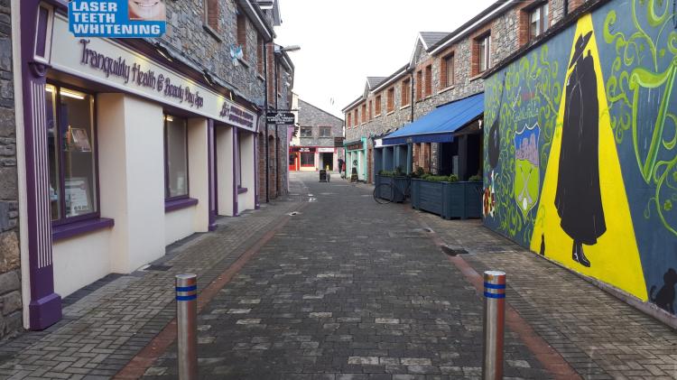 Tipperary councillors come to blows over issue with lights on local street