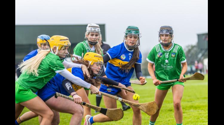 Tipperary minors fall short of the mark in semi-final after battle with impressive Limerick team