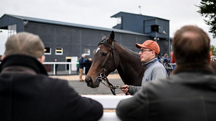 Thurles racecourse to continue operating for at least another year