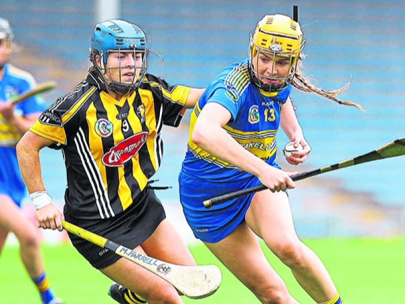 Tipp camogie set to line out as curtain raiser for Limerick vs Waterford this Saturday