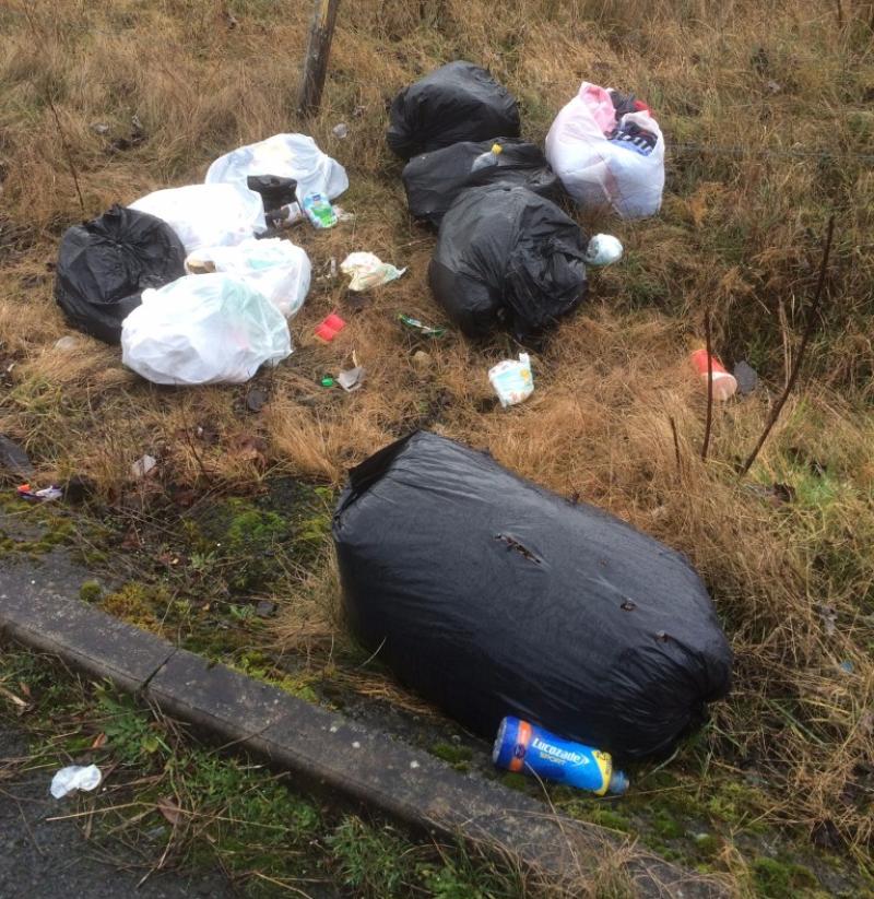 Up to 10 bags of rubbish are dumped every weekend along the old N7 road in Tipperary