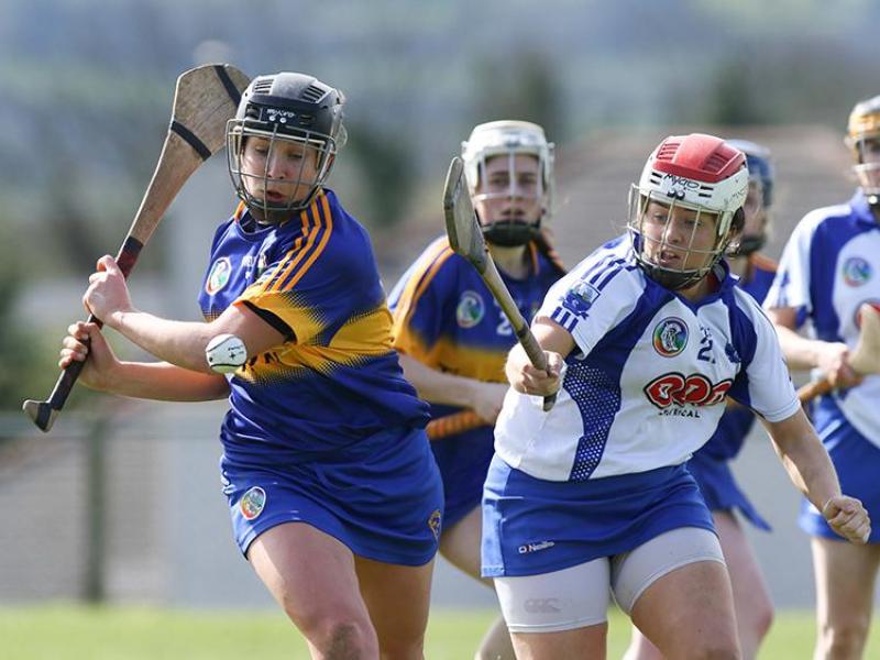 Tipperary Camogie team launch league campaign at home to Wexford