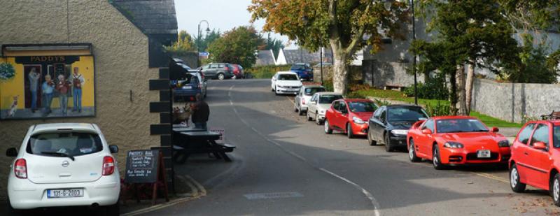 Terrylass village just misses out on being crowned national Tidy Towns winner
