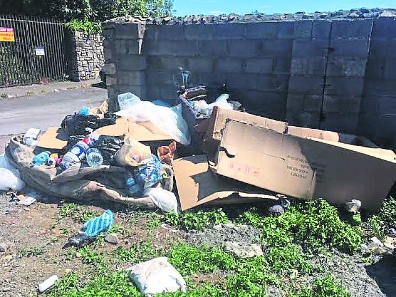Nenagh councillors demand action on rubbish being dumped on property in the town