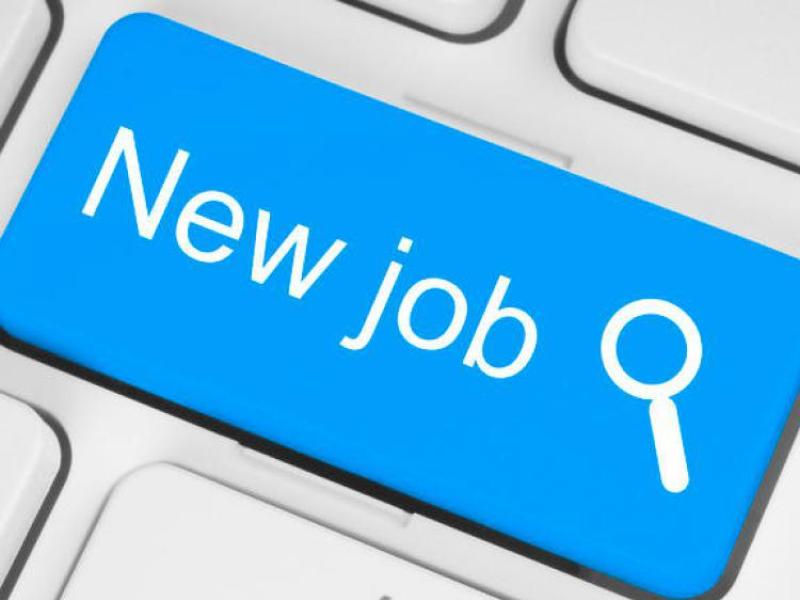 JOBS BOARD: Check out who is hiring in Tipperary this week