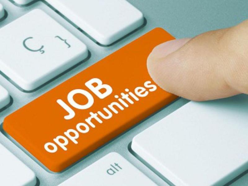 JOBS BOARD: Five companies hiring staff in Tipperary this week