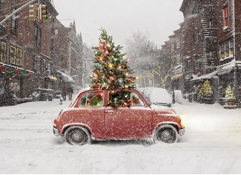 People in Tipperary can now recycle their Christmas tree for free at  centres around the county