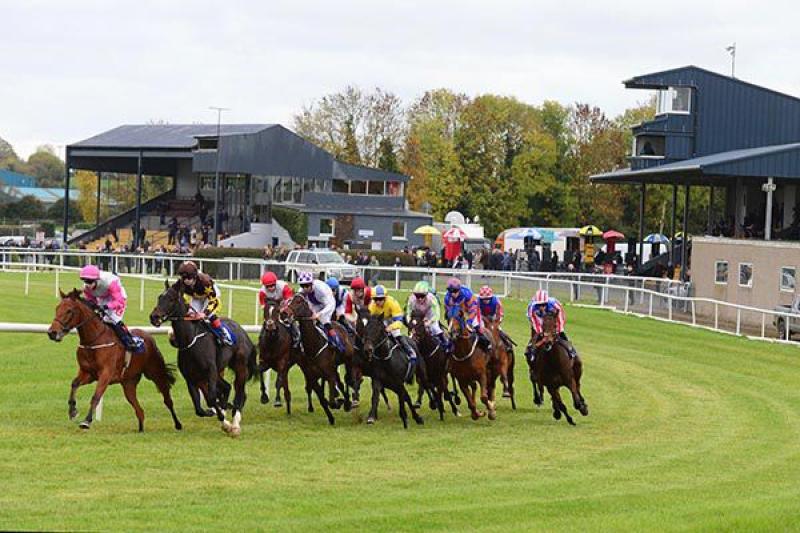 Suspension of all Irish horse racing fixtures until April 19 at the earliest