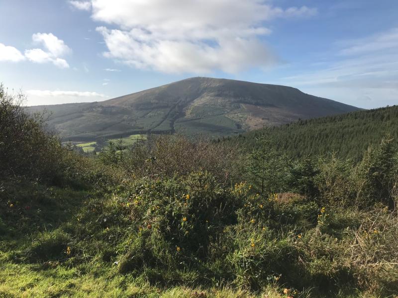 Nenagh Walking Club enjoys the beautiful treks around Silvermines