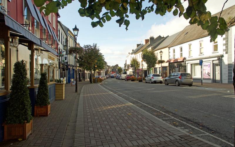 Call to council to analyse impact of new housing grant scheme on Carrick-on-Suir parking 