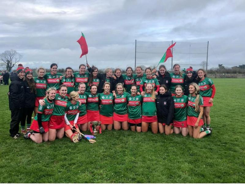 Drom-Inch are Munster champs 2020