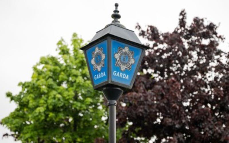 APPEAL: Gardaí are appealing for witnesses in relation to an incident of violent disorder
