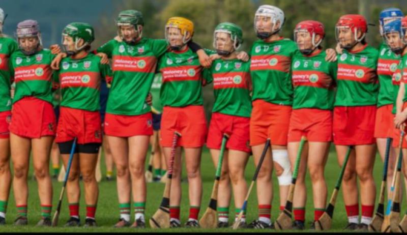 PREVIEW: Drom & Inch ready for tilt at champs Sarsfields