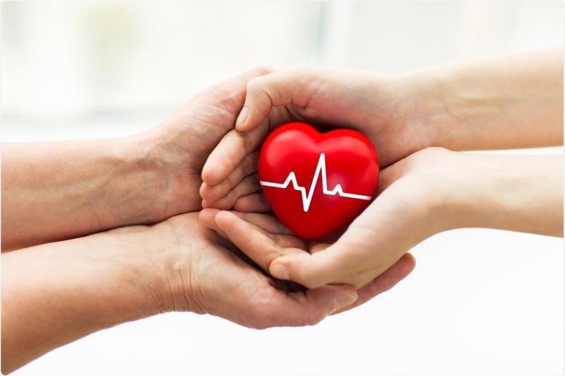 Tipperary TD asks for an update on Ireland's organ donation process