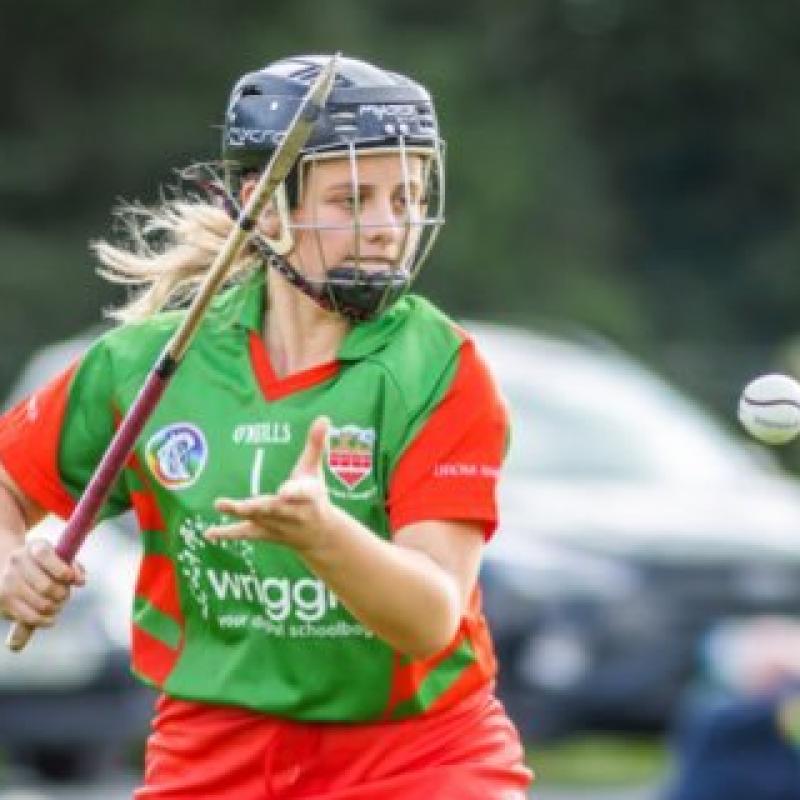 Drom & Inch hold on to clinch another Munster final spot