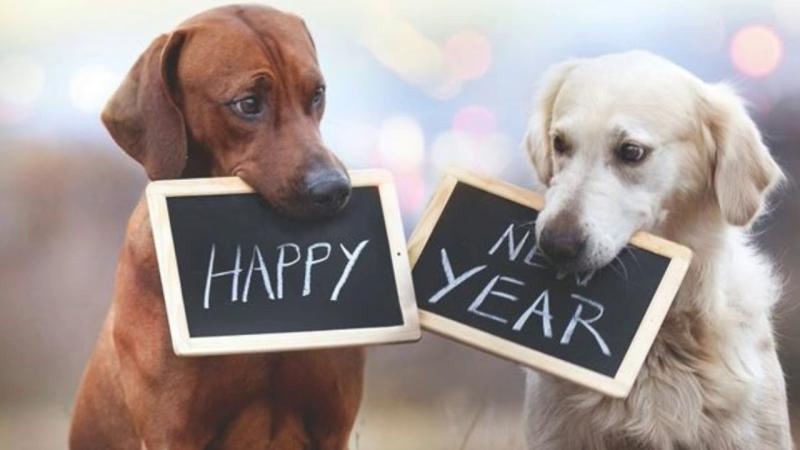 Happy New Year