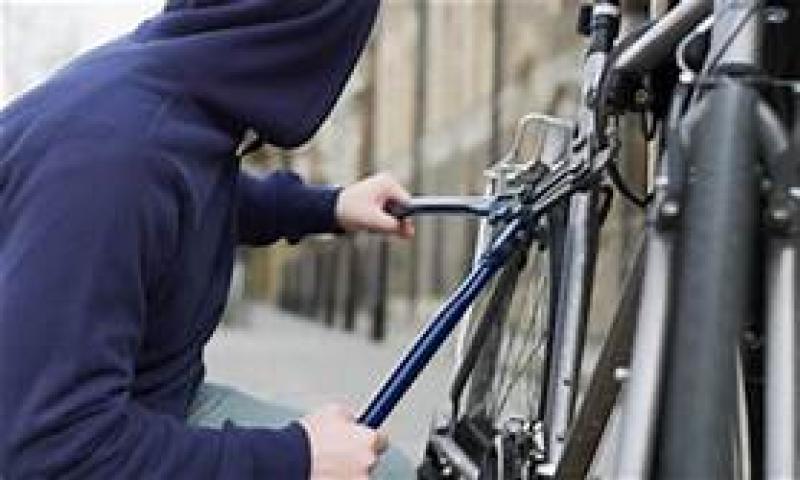 Nenagh gardaí urge vigilance following thefts from garden sheds