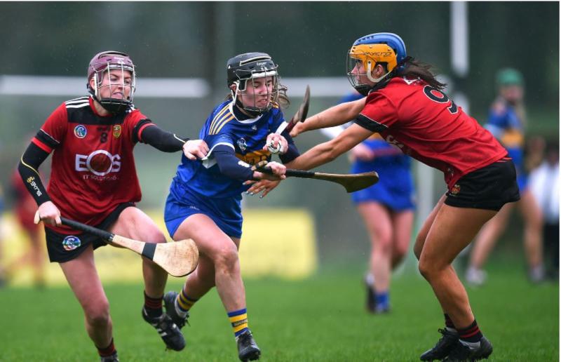 All too easy for Tipperary dispatch Down in opening round of the Camogie League