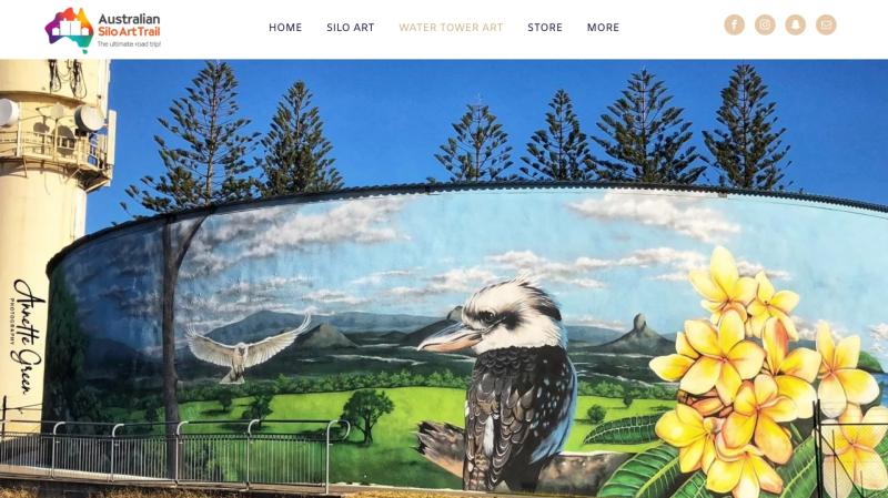 Nenagh councillor proposes a plan to decorate the town's iconic water tower