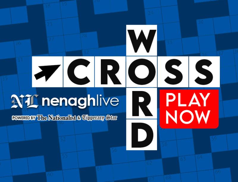 Nenagh Live Interactive Digital Crossword Puzzle