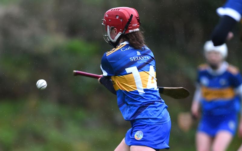 Tipperary team announced to take on Offaly on Saturday