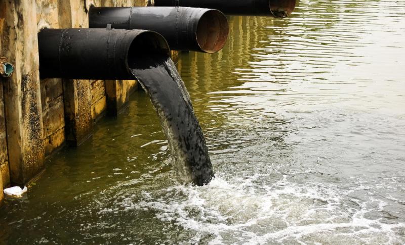 Tipperary rivers  under threat from pollution