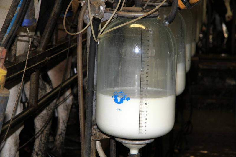 Tipperary consumers warned rising costs could put milk supply in stores in jeopardy