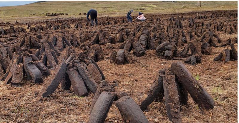 Tipperary TD to meet Minister Ryan on proposed ban on turf sales