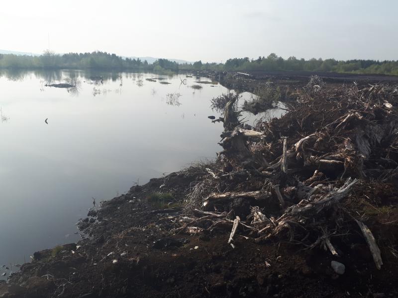 Tipperary TD opposes any mandatory attempt by European Parliament to rewet bogs
