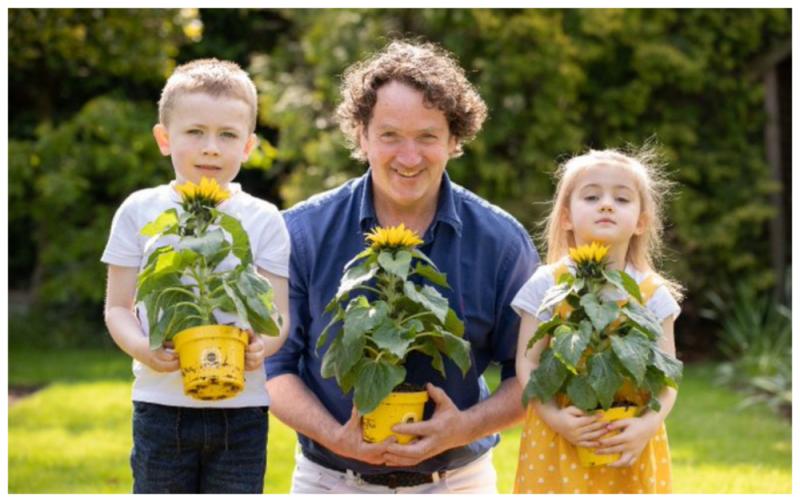 Milford Hospice Sunflower Days!