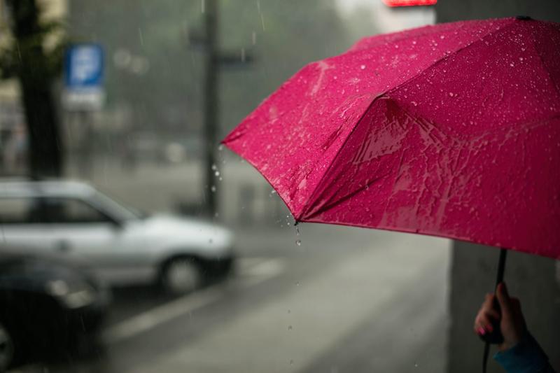 WEATHER WATCH: Mixed bag expected for week ahead with rain and humid temperatures on the way