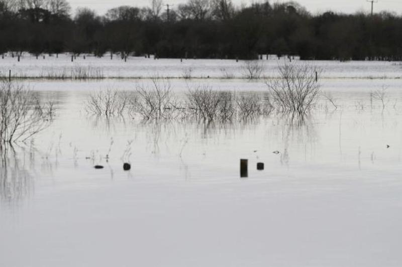 Tipperary callows: Call to manage water levels on Shannon to prevent flooding