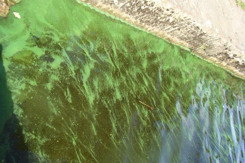 Tipperary County Council are advising the public to exercise caution at Lough Derg