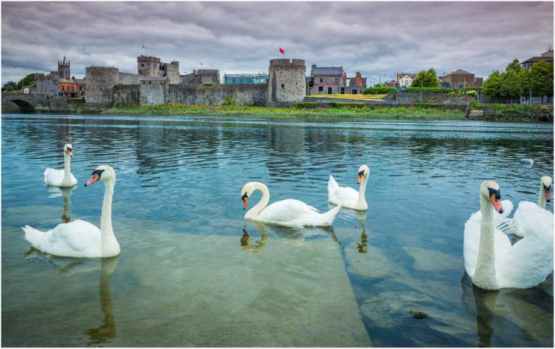 Discover Limerick - A new chapter for King John’s Castle!
